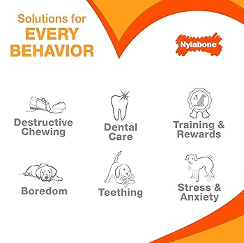 Nylabone Power Chew Wishbone Dog Toy - Regular Size, Bison Flavor