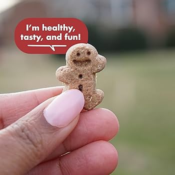 Buddy Biscuits Grain-Free Soft & Chewy Dog Treats - Grilled Beef Flavor, 5 oz