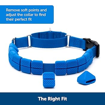 PetSafe Soft Point Training Collar, Royal Blue, Large, No-Pull Dog Collar