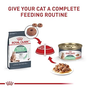 Royal Canin Digest Sensitive Thin Slices in Gravy Wet Cat Food, 3 oz (Case of 12)