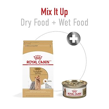 Royal Canin Yorkshire Terrier Adult Dry Dog Food 2.5 lb Bag