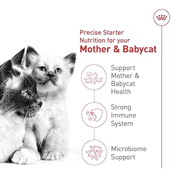 Royal Canin Feline Health Nutrition Mother & Babycat Dry Cat Food, 3 lb Bag