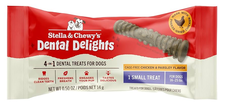 Stella & Chewy's Dental Delights Small Dog Treats - Chicken, Single Treat, 0.5 oz - Teeth Cleaning