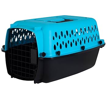 Aspen Pet Fashion Pet Porter - Small Dog & Cat Carrier - 19.25 x 12.56 x 10 in, Up to 10 lbs