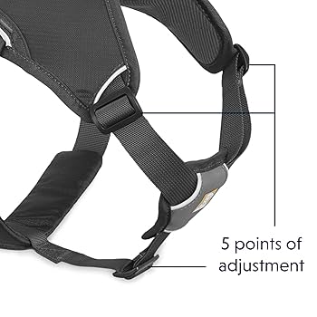 Ruffwear Web Master Dog Harness - Multi-Use Support, Twilight Gray (X-Small)