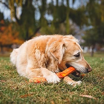 Ruffwear Gnawt-a-Stick Dog Toy - Durable Natural Latex Rubber, Salamander Orange
