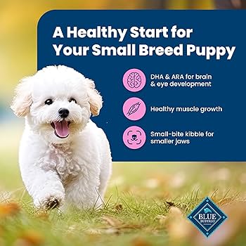 Blue Buffalo Life Protection Formula Small Breed Puppy Chicken & Oatmeal Recipe - 5 lb Bag