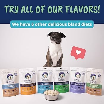 Under the Weather Bland Diet Dog Food - Hamburger, Rice & Sweet Potato - 6oz