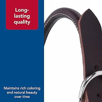 Coastal Pet Circle T Latigo Leather Round Dog Collar 1" x 24"