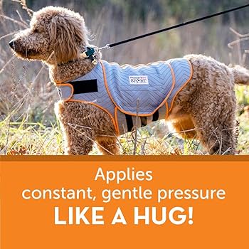 ThunderShirt Sport Dog Anxiety Vest - Platinum - XX-Large - Over 110 lbs
