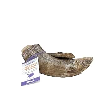 Icelandic+ Small Lamb Horn with Marrow Dog Chew - Long Lasting, All Natural Treat