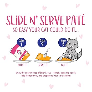 Weruva BFF Play Pate Partay! Variety Pack Cat Food, 3 oz Pouches (12 Pack)