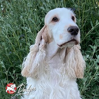 Fromm Four-Star Game Bird Recipe - Grain Free Dry Dog Food - 12 lb Bag