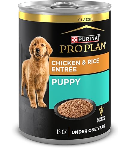 Canidae Grain Free Pure Foundations Chicken Puppy Canned Food, 13 oz