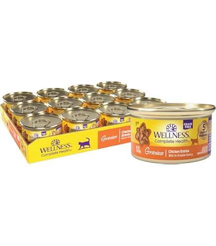 Wellness Complete Health Turkey Pate Grain-Free Canned Cat Food, 3 oz