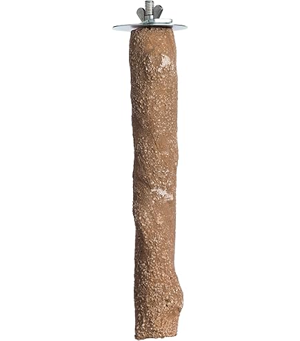 Prevue Pet Products Cosmic Crunch Small Bird Perch - 6 inch Natural Beak & Nail Trimmer