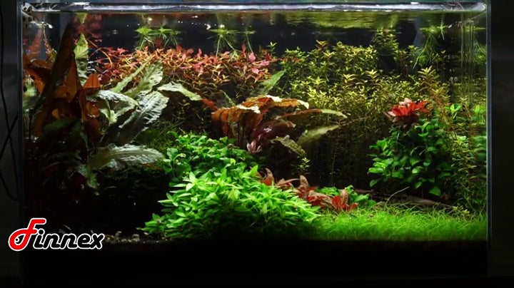 Finnex Planted+ 24/7 Automated Aquarium LED Light - Planted Tank Light with Controller