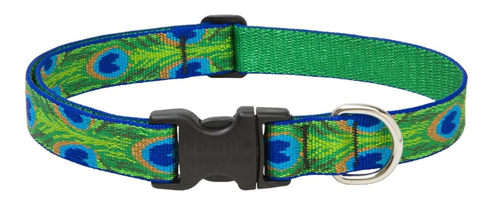 LupinePet Originals Tail Feathers Dog Collar, 1" Wide, 16-28" Adjustable, Large Dogs