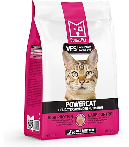 SquarePet VFS PowerCat Turkey & Chicken Dry Cat Food, 11 lb