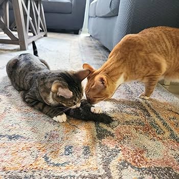 Go Cat Da Fur Thing Cat Toy - Rabbit Fur & Feather with Catnip