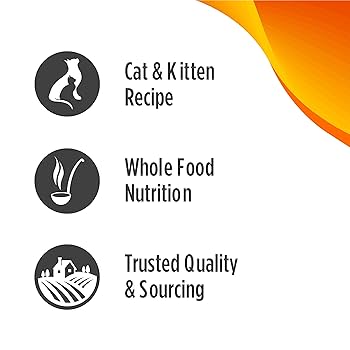Nulo Freestyle Freeze Dried Raw Chicken & Salmon Recipe Cat Food 3.5 oz