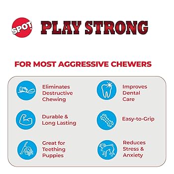 SPOT Play Strong Rubber Bone - Durable Dog Chew Toy for Aggressive Chewers - 4.5 Inch