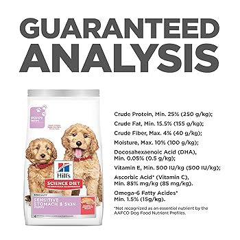 Hill's Science Diet Puppy Sensitive Stomach & Skin Salmon & Brown Rice Dry Dog Food - 13 lb Bag