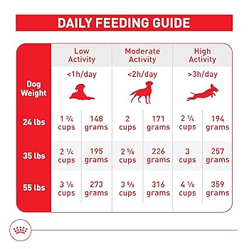 Royal Canin Medium Adult Dry Dog Food, 30 lb Bag, Size Health Nutrition