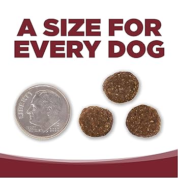 NutriSource Beef & Rice Recipe Adult Dry Dog Food, 5 lb Bag