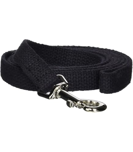 Coastal Train Right Cotton Web Training Dog Leash Black 5/8 in x 20 ft