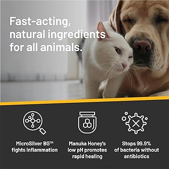 Absorbine Silver Honey Hot Spot & Wound Care Ointment - Dogs, Cats, Small Animals - 2oz Tube