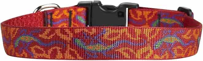 LupinePet Originals 1" Go Go Gecko Dog Collar, Adjustable 16-28", Large Dogs