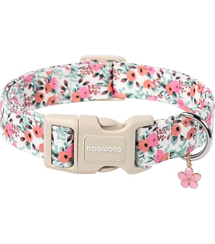 Coastal Sublime 1in Wide Adjustable Dog Collar, 12-18in, Aztec Yellow Chevron Print
