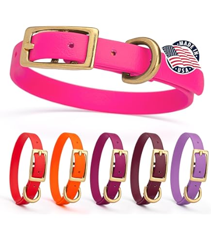 Dogline Biothane Waterproof Dog Collar, Strong Coated Nylon, Black Hardware, Purple