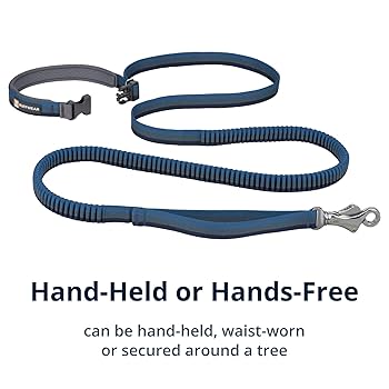 Ruffwear Roamer Bungee Dog Leash, 5.5-7 ft, Orion Blue, Hands-Free Running Leash