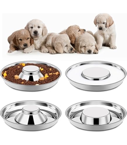 Indipets Heavy Duty Stainless Steel Puppy Saucer - 11" Diameter