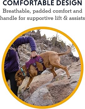 Ruffwear Web Master Dog Harness - Multi-Use Support, Purple Rain, Large/X-Large