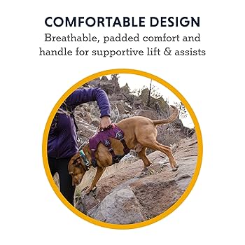 Ruffwear Web Master Multi-Use Support Dog Harness - Hiking, Service, Everyday