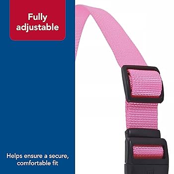 Coastal Adjustable Check Training Collar with Buckle - Black - Dog Training Collar