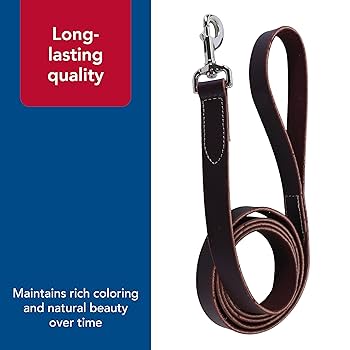 Coastal Pet Circle T Latigo Leather Dog Leash 5/8" x 6'