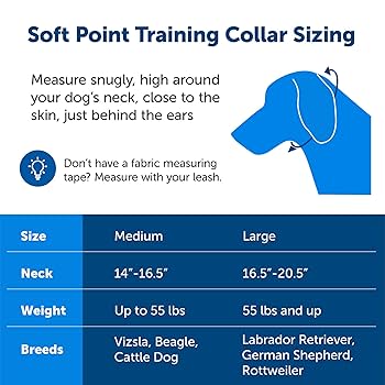 PetSafe Soft Point Training Collar - Royal Blue - Medium - No Pull Dog Collar