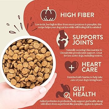 Earthborn Holistic Weight Control Chicken Meal & Vegetables Grain-Free Dry Dog Food - 4 lb