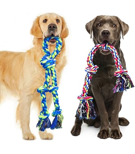 KONG Signature Crunch Rope Double - Medium Dog Toy