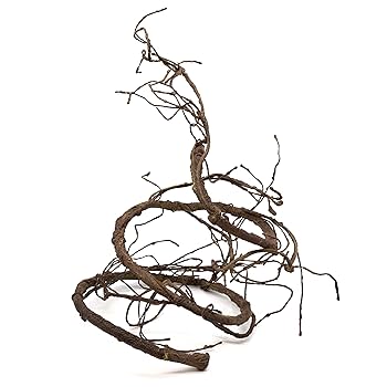 Pangea Reptile Ultimate Vine - Terrarium Habitat Decor - Bendable Climbing Branch (Brown, 6 ft)