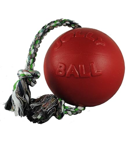 Jolly Pets Romp-n-Roll 6-inch Dog Toy - Red Rubber Ball with Rope - Durable Fun