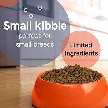 Canidae PURE Petite Small Breed Salmon Recipe, Grain-Free, Raw Coated Dry Dog Food, 4 lb
