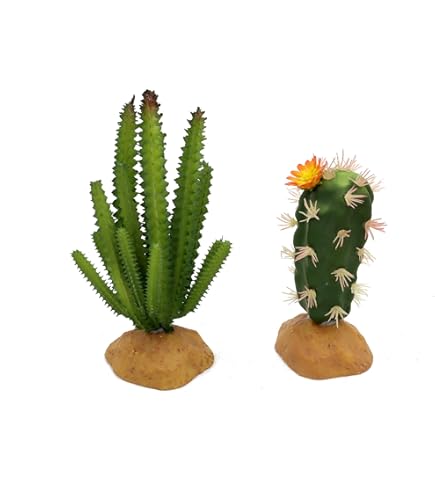 Exo Terra Cholla Cactus Skeleton - Large - Reptile Hide Decor