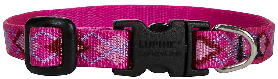 LupinePet Puppy Love Dog Collar - 1/2 inch, 8-12 inch Adjustable