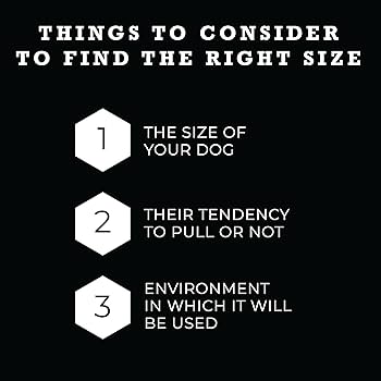 Wolfgang ChevTech Dog Leash, 6 ft, Multicolored Polyester, Heavy Duty