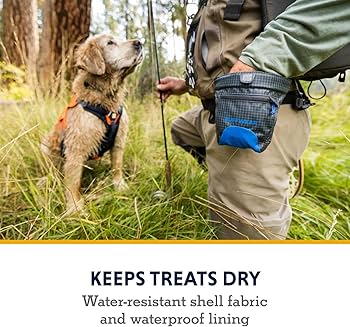 Ruffwear Treat Trader Dog Training Pouch - Blue Pool - Waist Worn Treat Bag